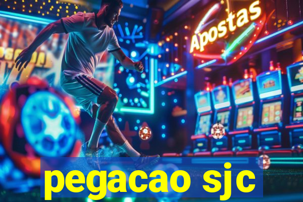 pegacao sjc